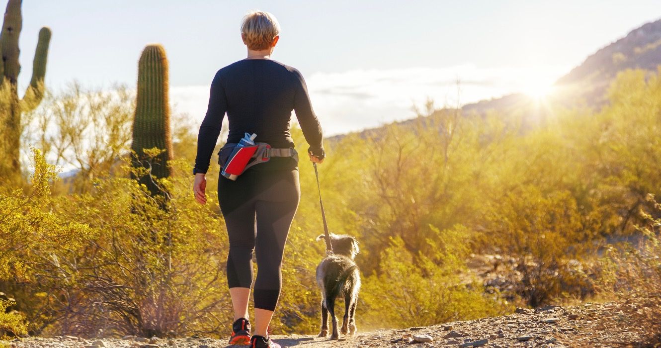 Unleash Your Inner Explorer: Dog-Friendly State Parks Across America