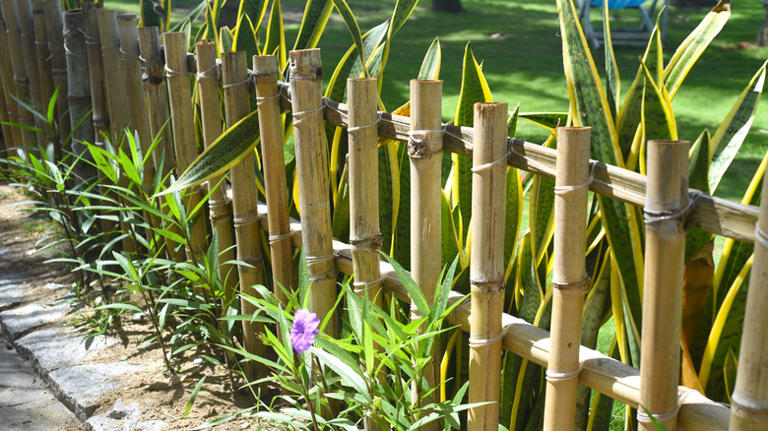 How To Create A Garden Fence That Welcomes And Protects Wildlife