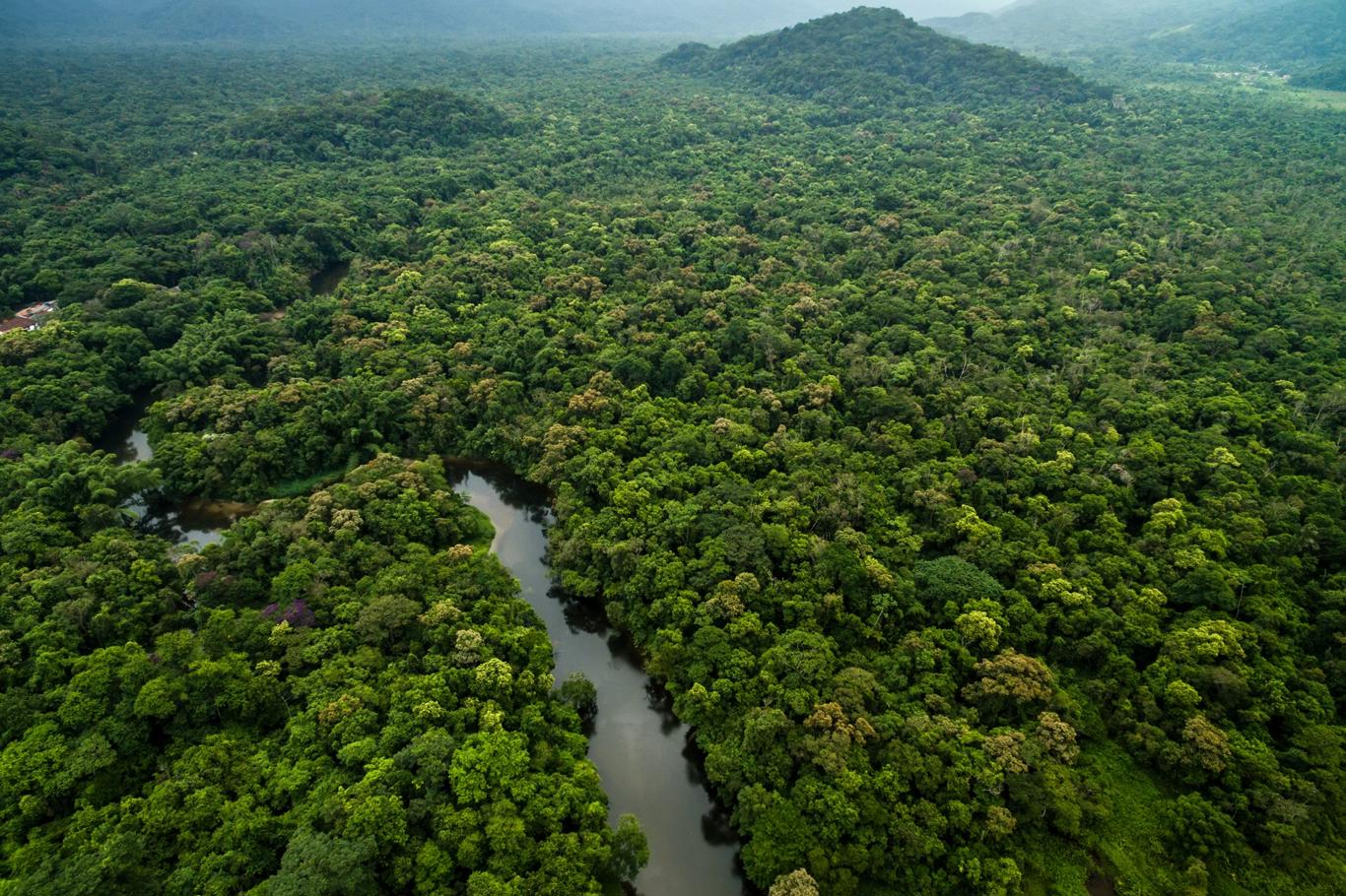 amazon, vrty v džungli odhalily podzemní zázrak. podívejte, co se skrývá 4000 m pod amazonkou