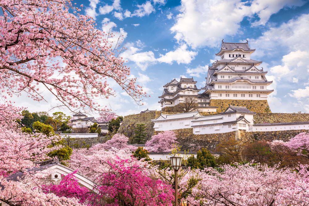 <p>Instead, Himeji has spent most of its time as a home for the Japanese imperial family. </p>  <p>In 1931, the castle was named a national treasure, and tourists can now take guided tours of its magnificent halls and tranquil cherry blossom garden.</p>