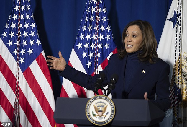 kamala hits the campaign trail hard after top democrats roasted her over biden's problems: vp meets with black leaders to turn around joe's dire approval rating with black americans that could cost them in 2024