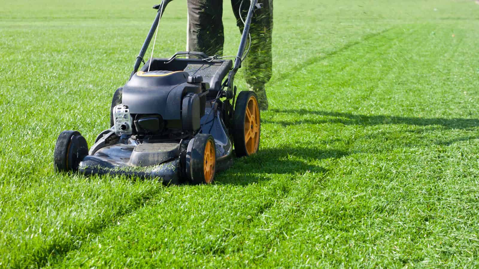 <p>Lawnmowers and trimmers are also commonly seen in many basements across the U.S. Rather than being kept outside, storage in basements saves these tools from harsh weather conditions, vandalism, or theft—all achieved while maintaining convenient access to them.</p>