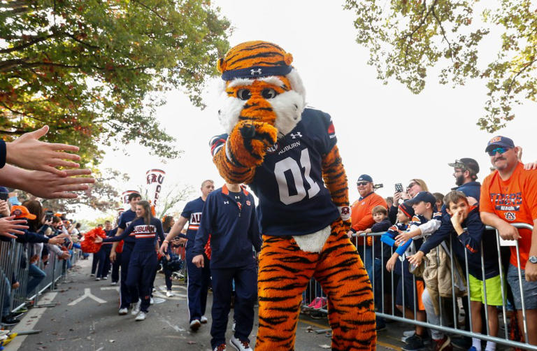 Auburn University To Unveil Statue Of Beloved Mascot ‘aubie 3774