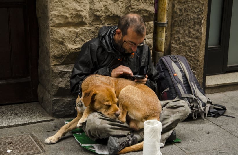 ¿cómo se puede mejorar la salud de los dueños de mascotas sin hogar y sus compañeros?