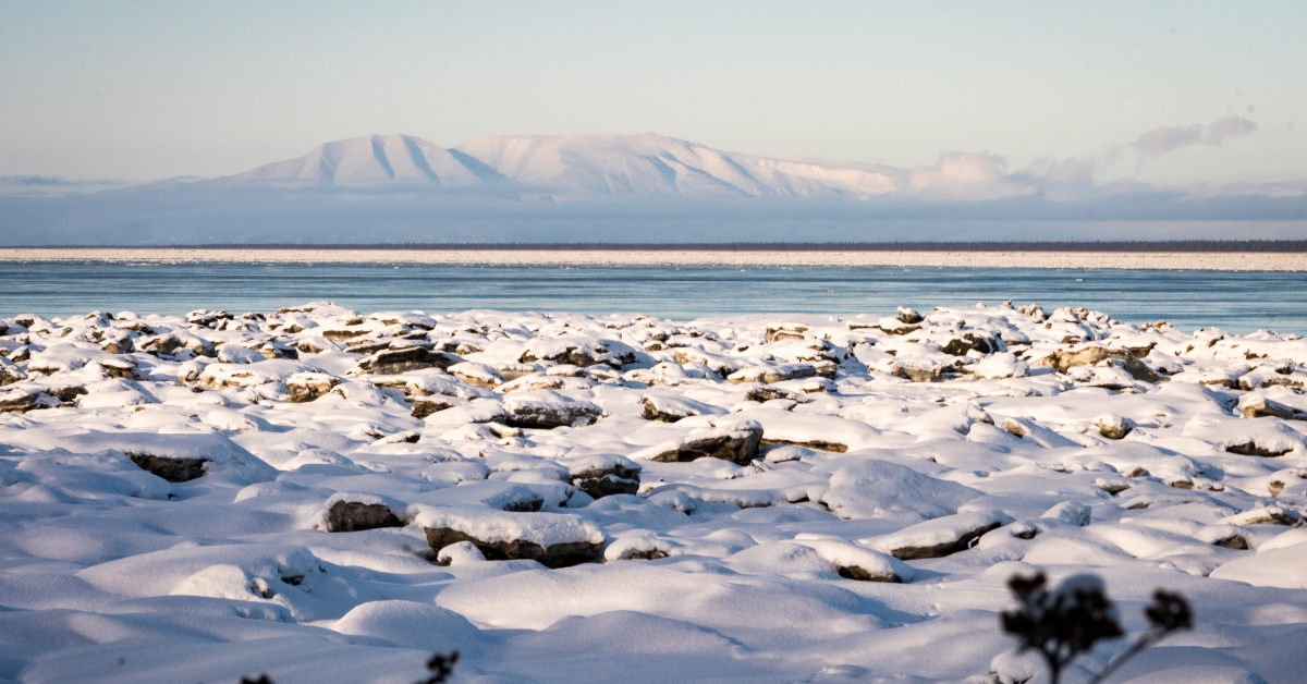 <p> Hikers will love the Tony Knowles Coastal Trail in Anchorage, which winds 11 miles along the coast. The hike provides incredible views of downtown Anchorage, mountains, and Fire Island — and you just might catch a moose crossing the trail nearby.  </p>