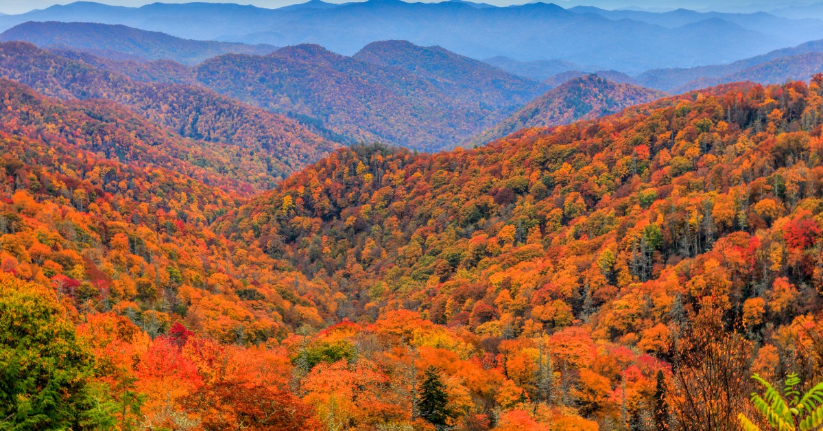 <p> Great Smoky Mountains National Park is partially in North Carolina and partially in Tennessee. For those in the area, the free park has plenty to offer — from its rich history dating back to prehistoric times to its stunning mountain views.  </p>