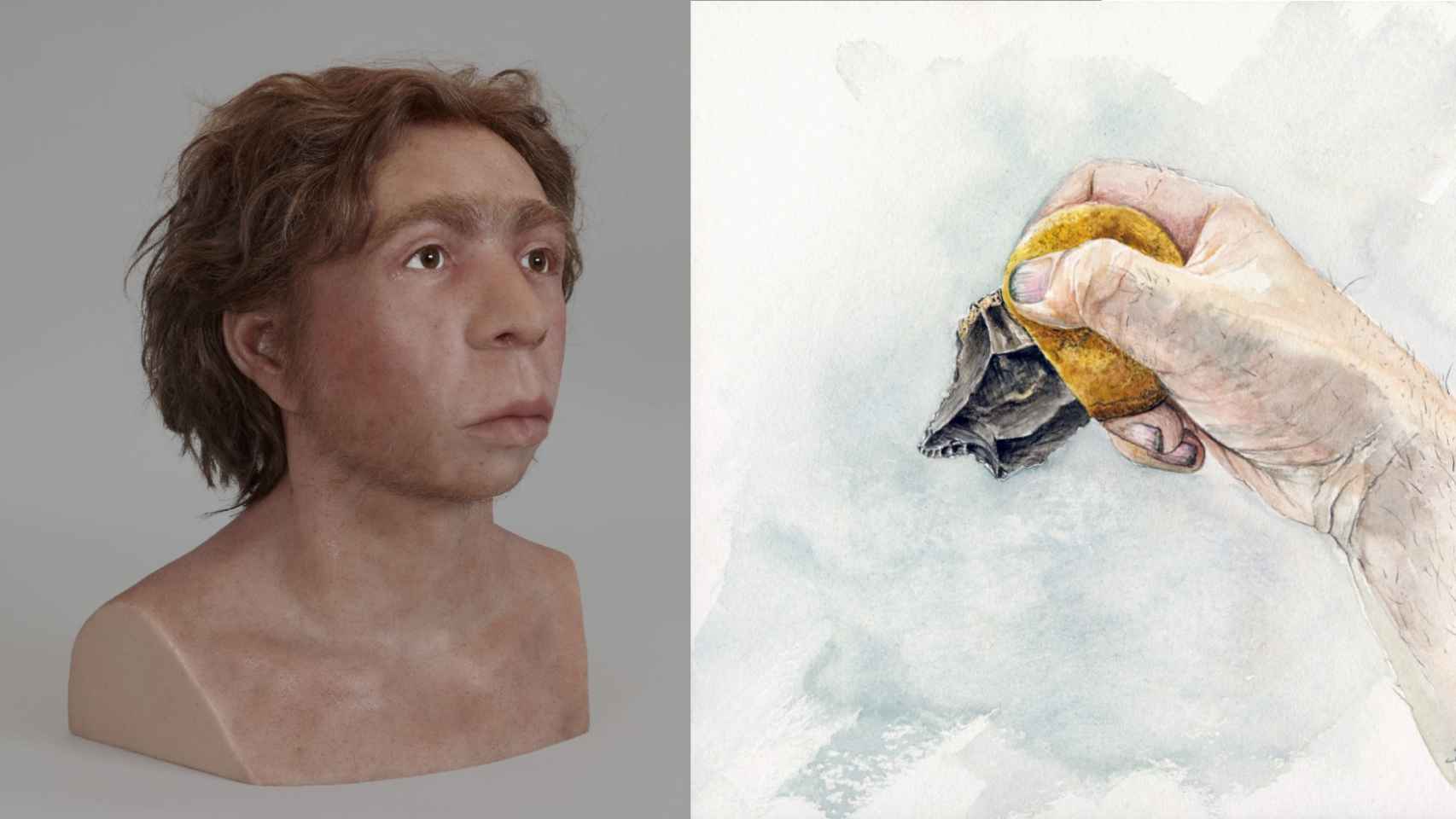 hallazgo sorprendente: la desconocida capacidad de los neandertales que era exclusiva de los sapiens