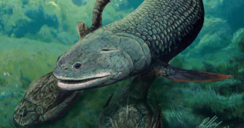 prehistoric fish species had nostrils, possibly first air-breathers on earth, scientists announce
