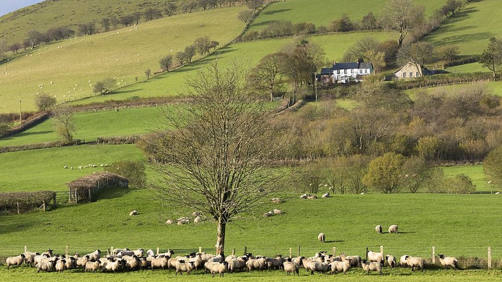 farmers fear backing government's green changes