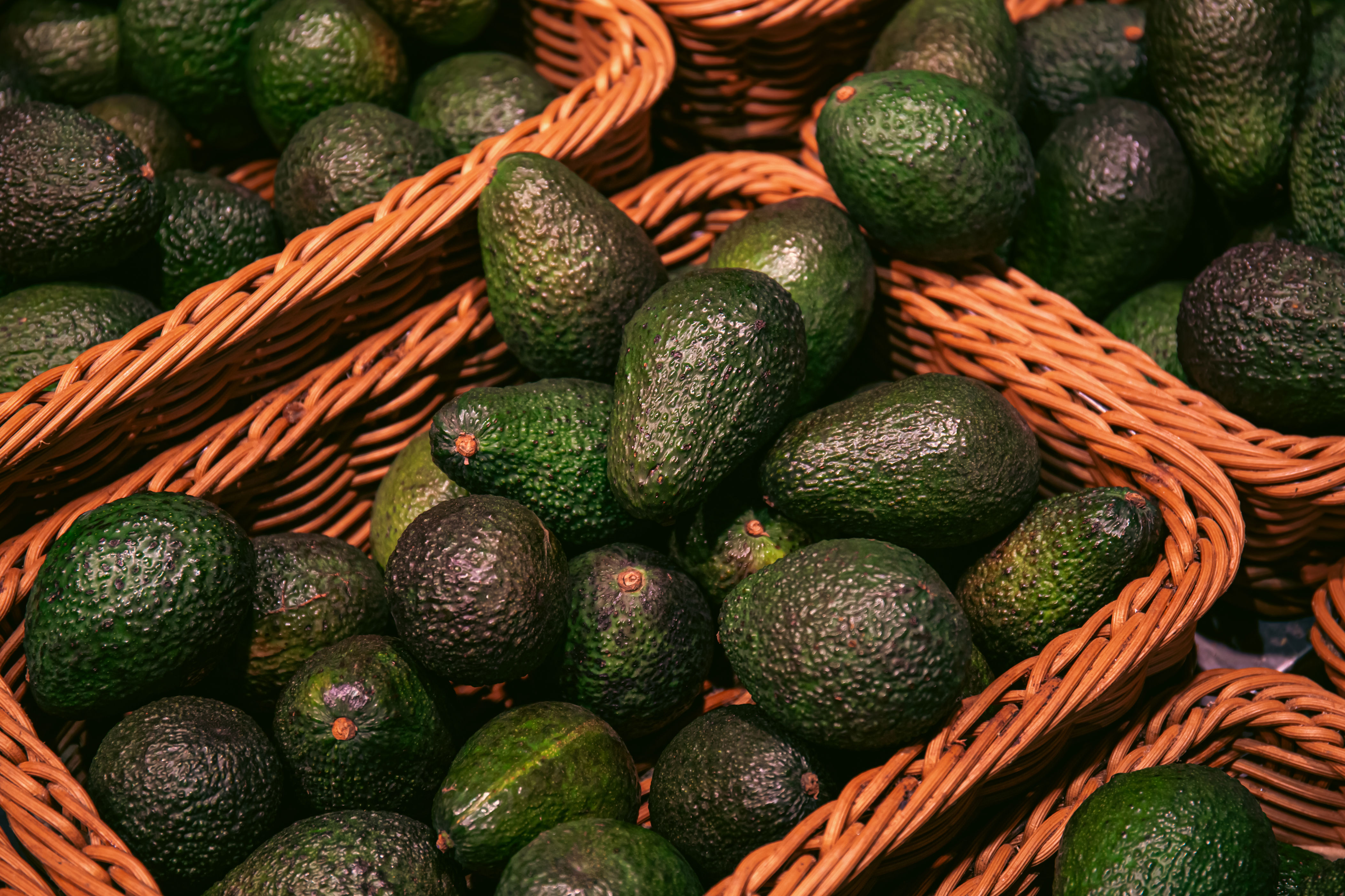avocado: características e benefícios da fruta