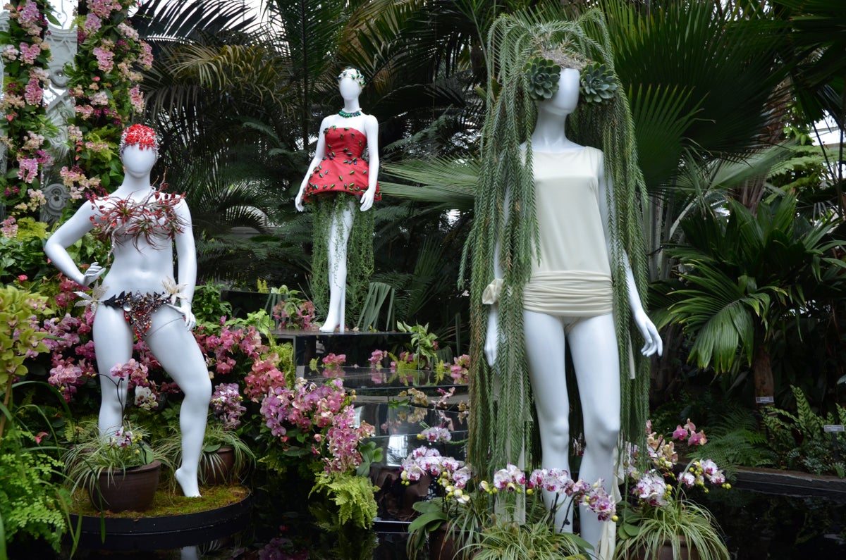 orchids as muse: flowers and fashion mix inside the ny botanical garden's conservatory