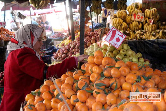 الطماطم بـ10 جنيهات.. أسعار الخضروات والفاكهة في أسواق القليوبية اليوم الخميس 22 فبراير