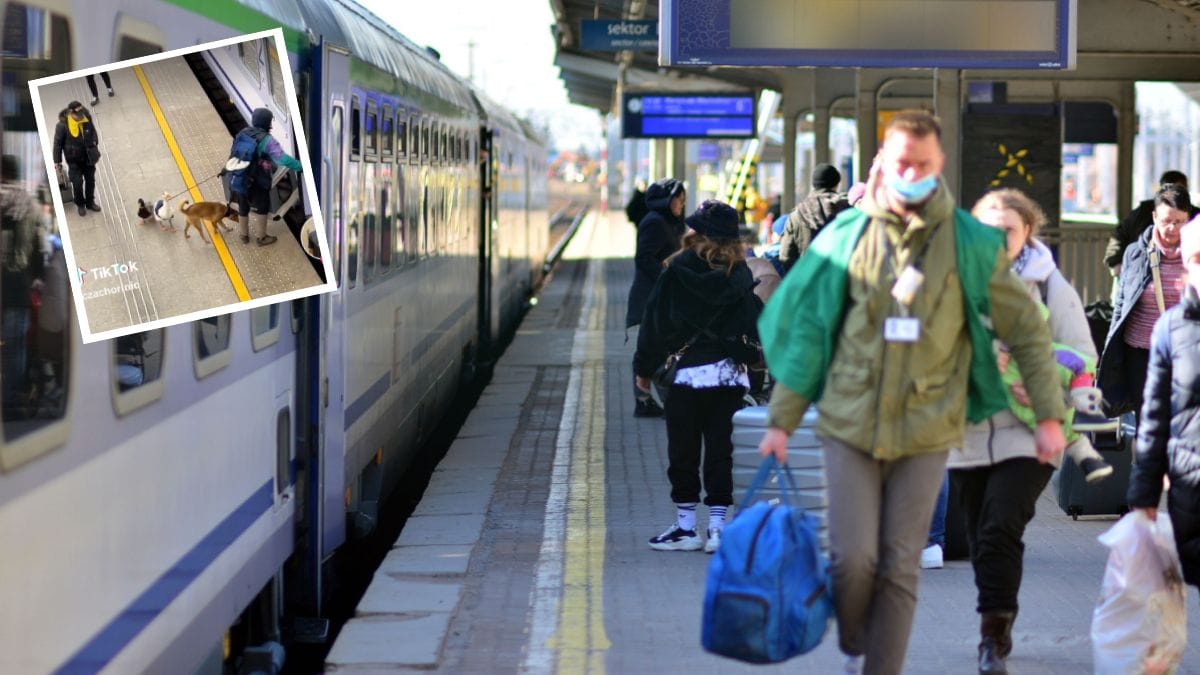 video. un gruppo di viaggiatori insoliti attira l'attenzione dei passeggeri del treno