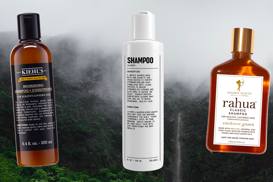 The 20 Best Natural Shampoos For Men In 2024   BB1iGuKb.img