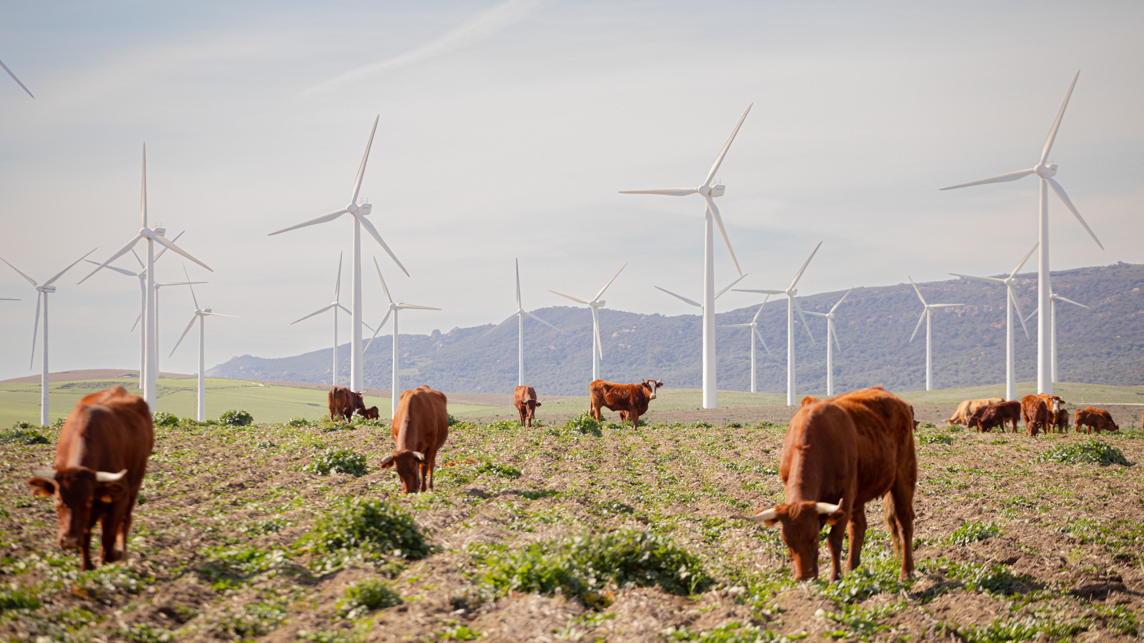 the problem with europe’s ageing wind farms