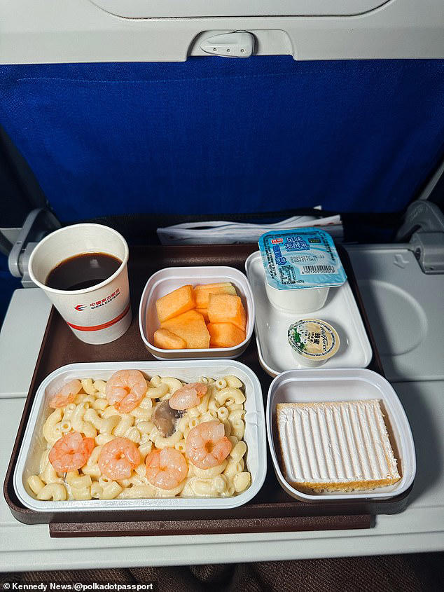 Horrified air passenger, 29, endures 'worst meal ever' of mac and ...