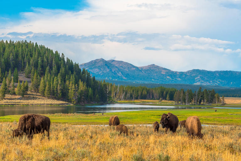 The best US National Parks to visit