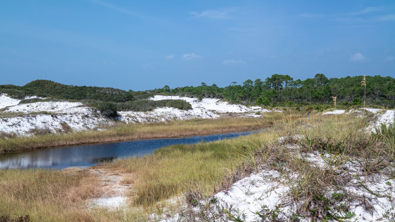 <p>One of Florida’s most pristine coastal dune lakes, Campbell Lake, is at <a href="https://www.floridastateparks.org/parks-and-trails/topsail-hill-preserve-state-park" rel="noopener">Topsail Hill Preserve Park</a>. Dunes, maritime forests, and abundant native flora surround the 100-acre lake. Bald cypress, fragrant water lilies, spatterdock, and black needlerush are along the lake. It’s a gorgeous destination for birding and geocaching. </p>