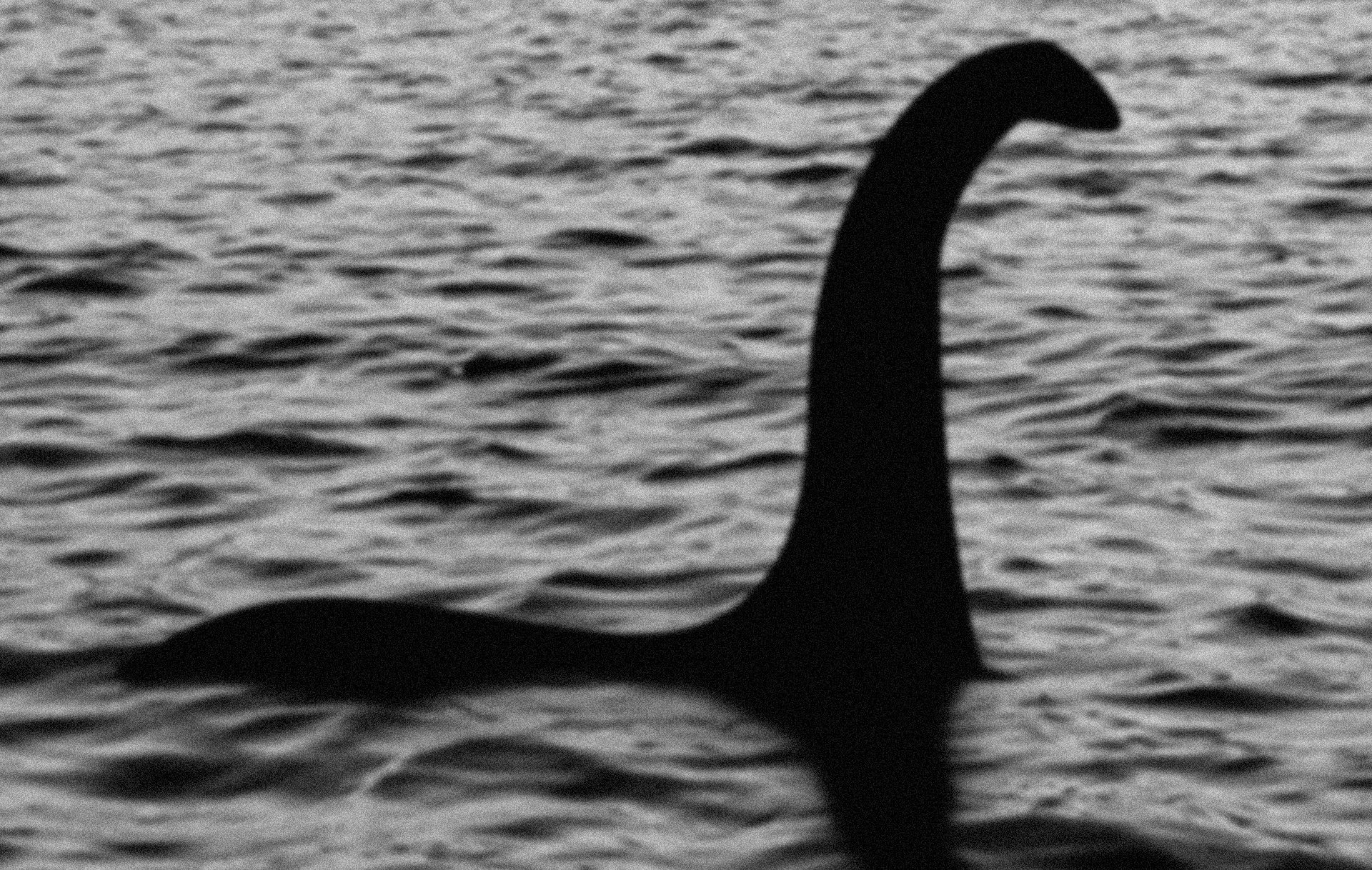 <p>The same thing happens with the Loch Ness monster in Scotland. Before, people even claimed to have taken pictures of him, like this one, but now, no one has reported seeing him.</p>