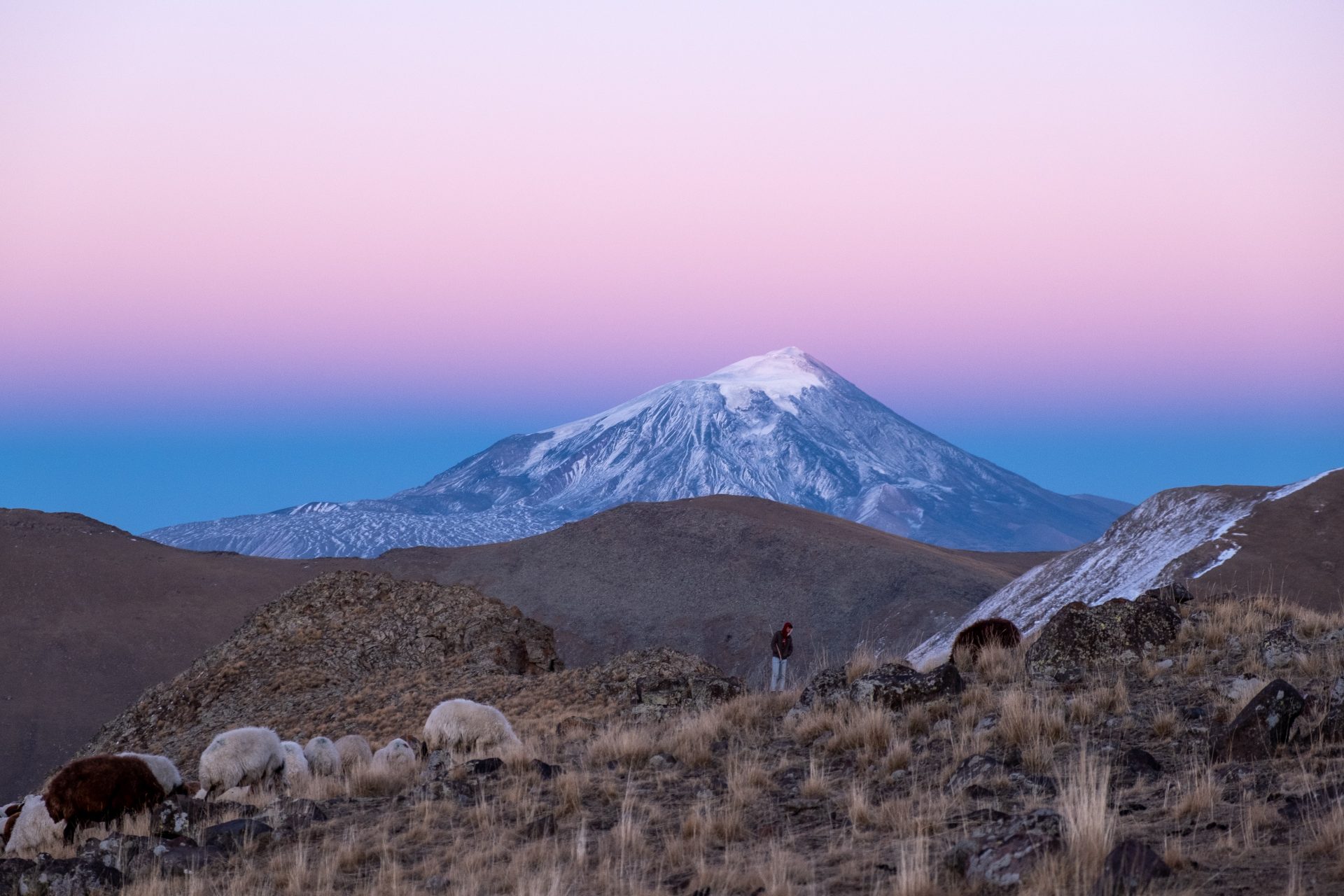 <p>The aforementioned 2010 article referred to an expedition that claimed to have found remains of Noah's Ark on Mount Ararat, located in the area of Turkey bordering Armenia and Iran. This mountain is almost always mentioned as the place where Noah landed after the flood.</p> <p>Image: Daniel Born / Unsplash</p>