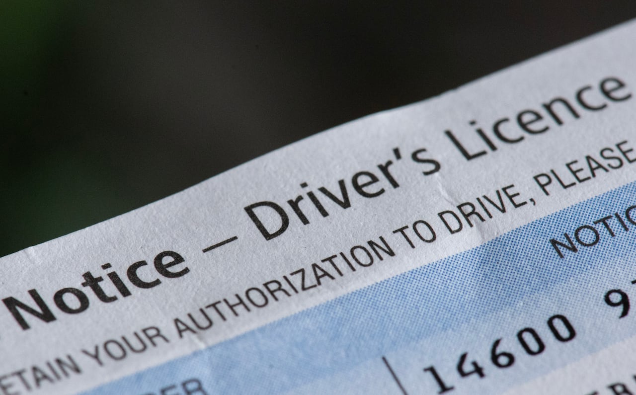 didn't get a notice to renew your quebec driver's licence? you're not alone
