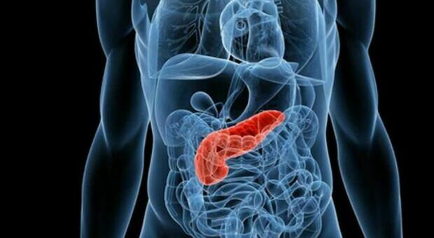 tumore al pancreas metastatico, il nuovo farmaco riduce il rischio di morte. «è il primo per un trattamento di seconda linea»