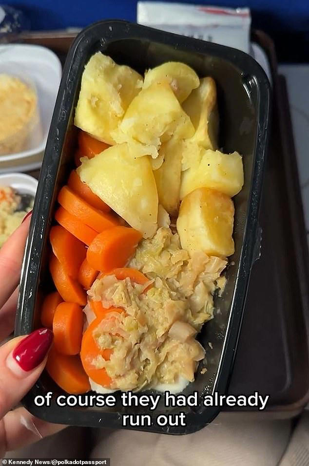 Horrified air passenger, 29, endures 'worst meal ever' of mac and ...