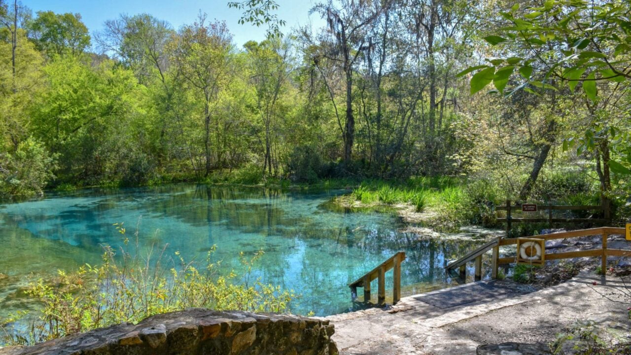 <p><a href="https://www.floridastateparks.org/parks-and-trails/ichetucknee-springs-state-park" rel="nofollow noopener">Ichetucknee Springs State Park</a> is a 2,669-acre wildlife haven where guests feel miles away from the fast-paced hustle that Florida has adapted to. The park is home to beaver, otter, softshell turtle, wild turkey, wood duck, and limpkin. Its eight crystal-clear springs join together to create the 6-mile Ichetucknee River. Three nature trails guide visitors through the lush park forest or kayak in the pristine waters.</p>