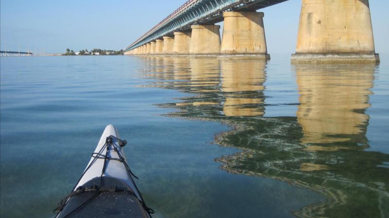 <p>Did you know that there’s a designated trail to paddle around the entire coastline of Florida? Designed for advanced and experienced paddlers, the <a href="https://floridadep.gov/parks/ogt/content/florida-circumnavigational-saltwater-paddling-trail" rel="nofollow noopener">Florida Circumnavigational Saltwater Paddling Trail</a> offers a multi-day trip unlike any other. Paddle through the saltwater, marshes, and mangroves on the Florida Gulf Coast. If you aren’t ready for the entire trip, hop onto the trail portion for a day trip. The journey starts near Pensacola and covers the Gulf before circling to the Atlantic.</p>