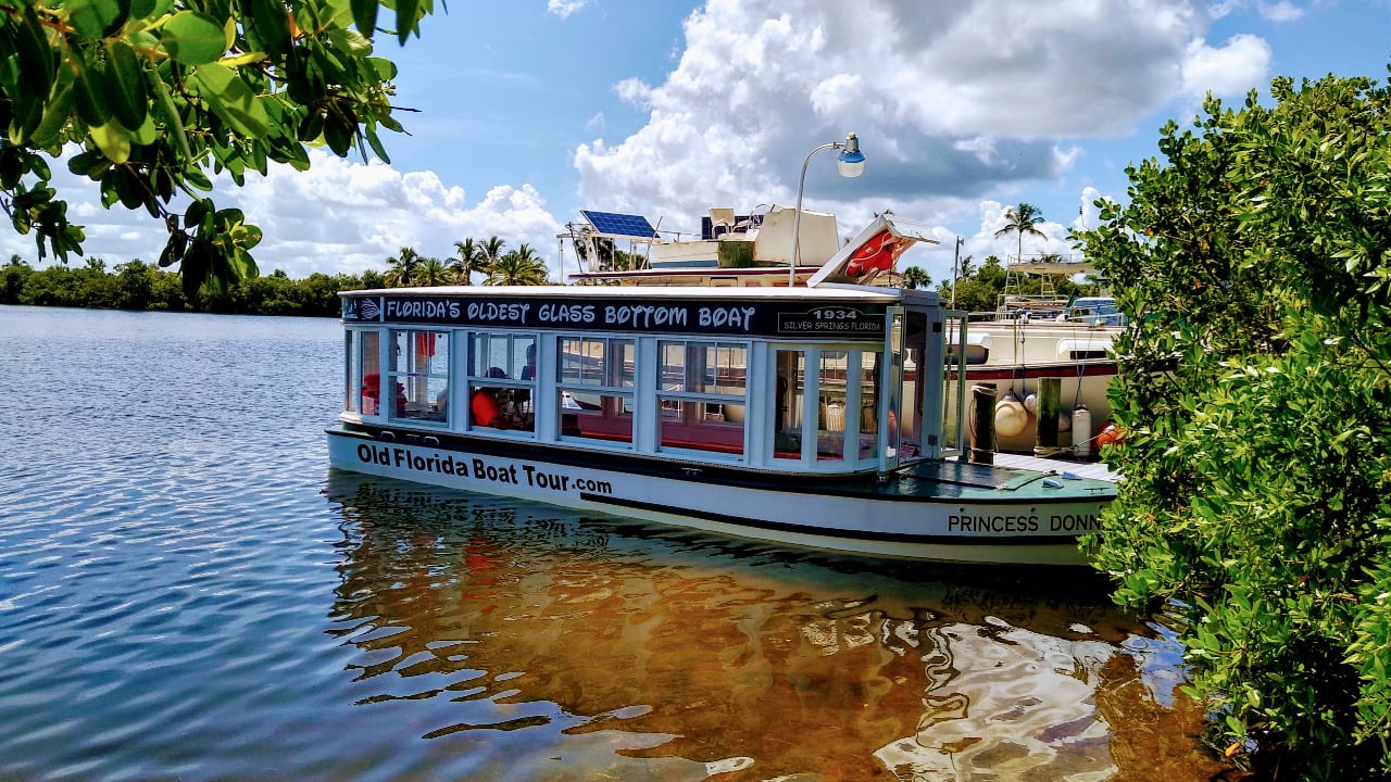 <p>If you want to see nature but don’t want to get wet, take a glass-bottom boat tour. An <a href="https://www.ecotourismflorida.com/partner/old-florida-boat-tour/" rel="nofollow noopener">eco-boat tour</a> on Jug Creek in Bokeelia, Florida, is a serene way to see what’s below the water’s surface. Guests board the Princess Donna boat, built in 1934. She’s also the oldest operating commercial tour boat in the state. </p>