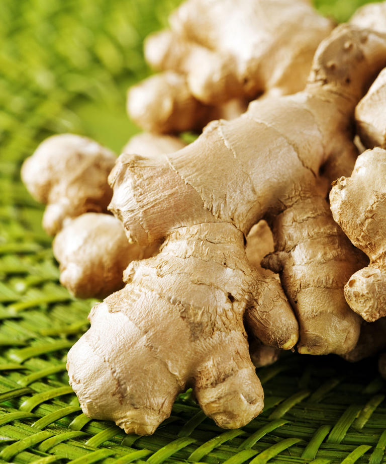 How To Grow Ginger In Pots – Expert Tips For A Successful Crop