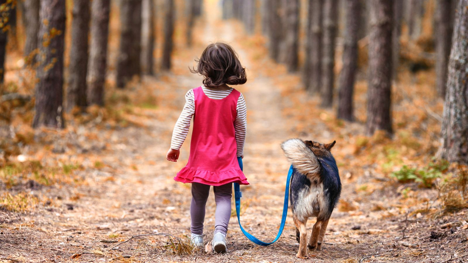 <p><a href="https://www.petmd.com/dog/care/can-dogs-teach-kids-responsibility">PetMD</a> asserts that dogs make excellent family pets for teaching children responsibility. Caring for a dog and meeting all its needs takes work, empathy, and planning, while learning to feed, walk, groom, and train a dog teaches children valuable lessons about caregiving and the value of responsible pet ownership.</p>