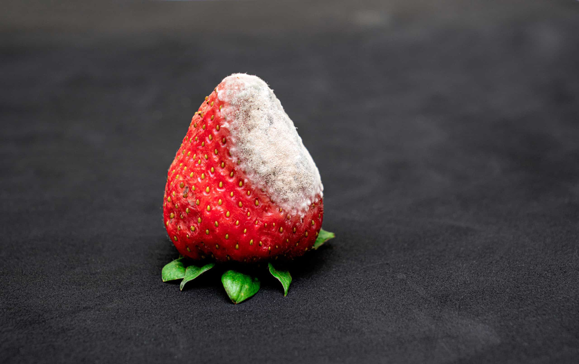 How to tell if food has gone bad