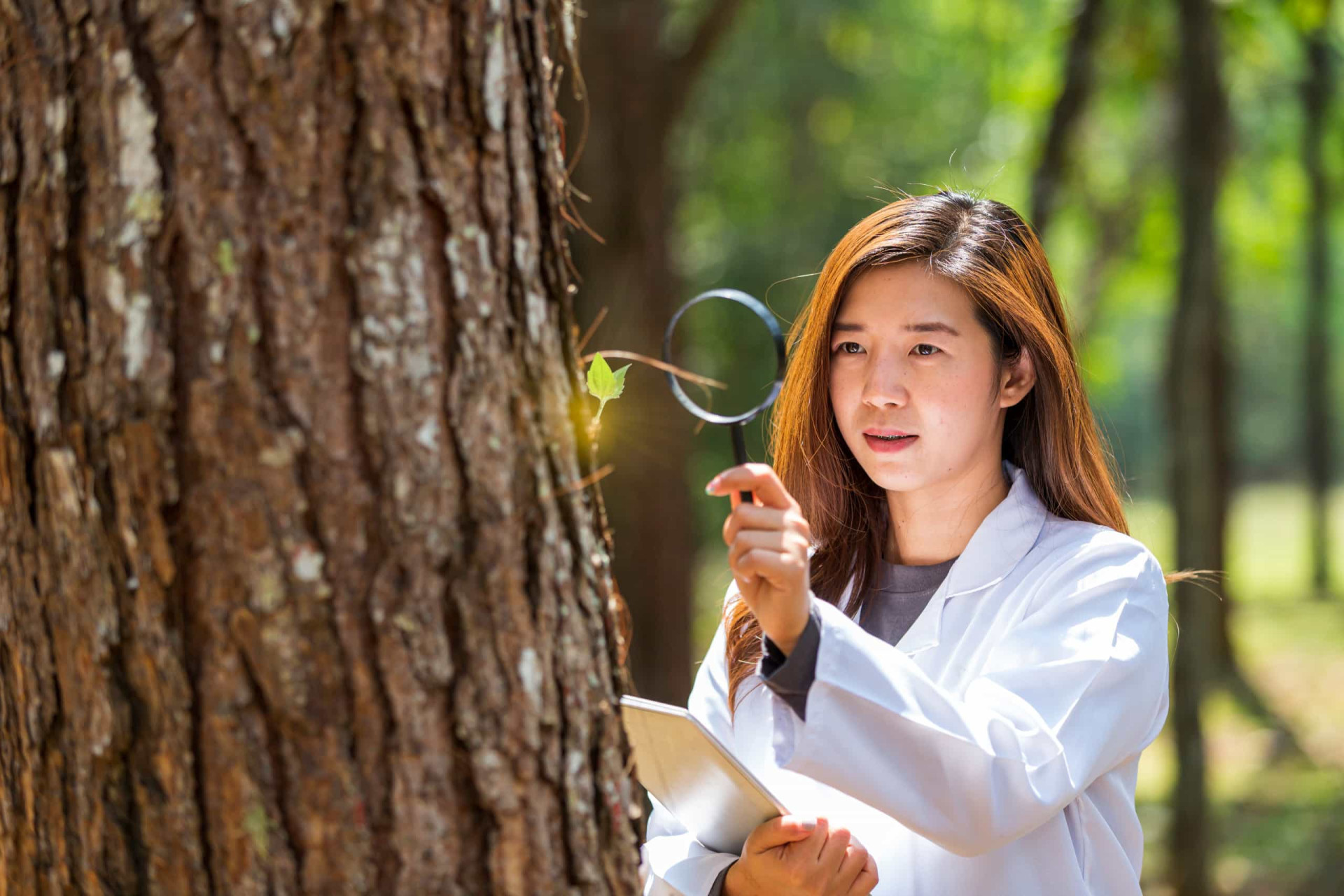 <p>While some work requires lab time, pursuing the science of plant life often takes you out into the field to research various categories of plant life, from the minutest cell to the mightiest tree.</p><p>You may also like:<a href="https://www.starsinsider.com/n/135007?utm_source=msn.com&utm_medium=display&utm_campaign=referral_description&utm_content=434684v2en-us"> The real impact of alcohol in your body</a></p>