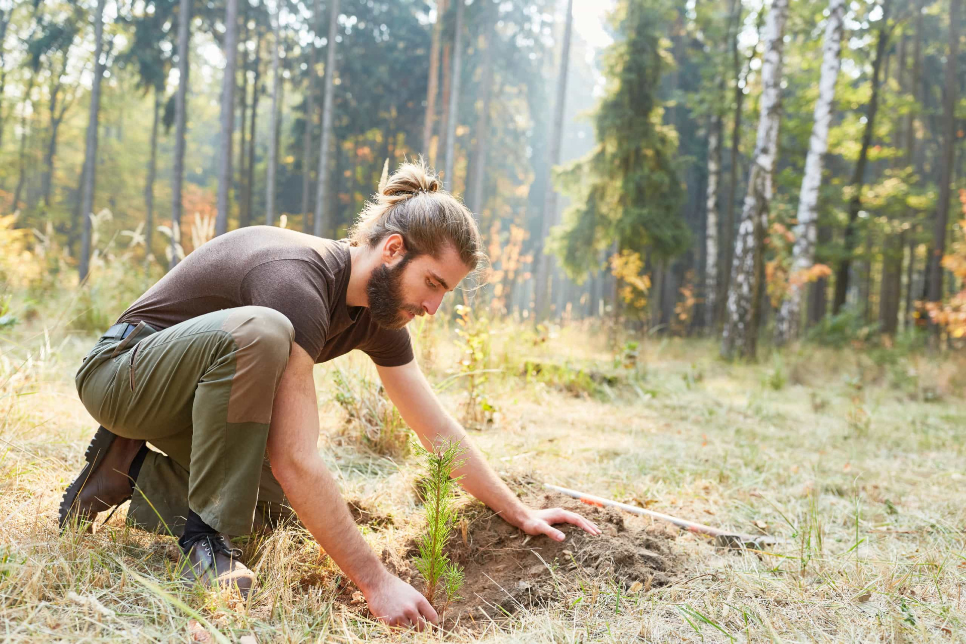 <p>Responsibilities that come with this position include caring for, planting, and managing trees or forests, sometimes in wilderness areas where the only company is a bear, or two!</p><p><a href="https://www.msn.com/en-us/community/channel/vid-7xx8mnucu55yw63we9va2gwr7uihbxwc68fxqp25x6tg4ftibpra?cvid=94631541bc0f4f89bfd59158d696ad7e">Follow us and access great exclusive content every day</a></p>