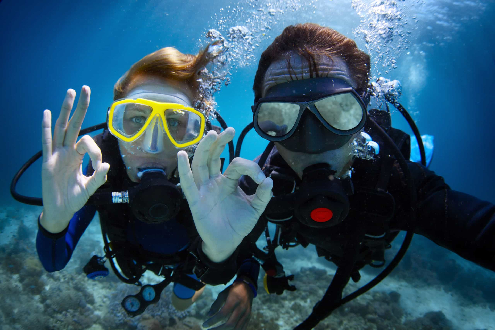 <p>If you have a passion for scuba diving and want an extraordinary life, become a diving instructor. The world underwater is a supremely beautiful and increasingly fragile environment, and promoting ocean conservation is just one aspect of this fascinating job. </p><p><a href="https://www.msn.com/en-us/community/channel/vid-7xx8mnucu55yw63we9va2gwr7uihbxwc68fxqp25x6tg4ftibpra?cvid=94631541bc0f4f89bfd59158d696ad7e">Follow us and access great exclusive content every day</a></p>