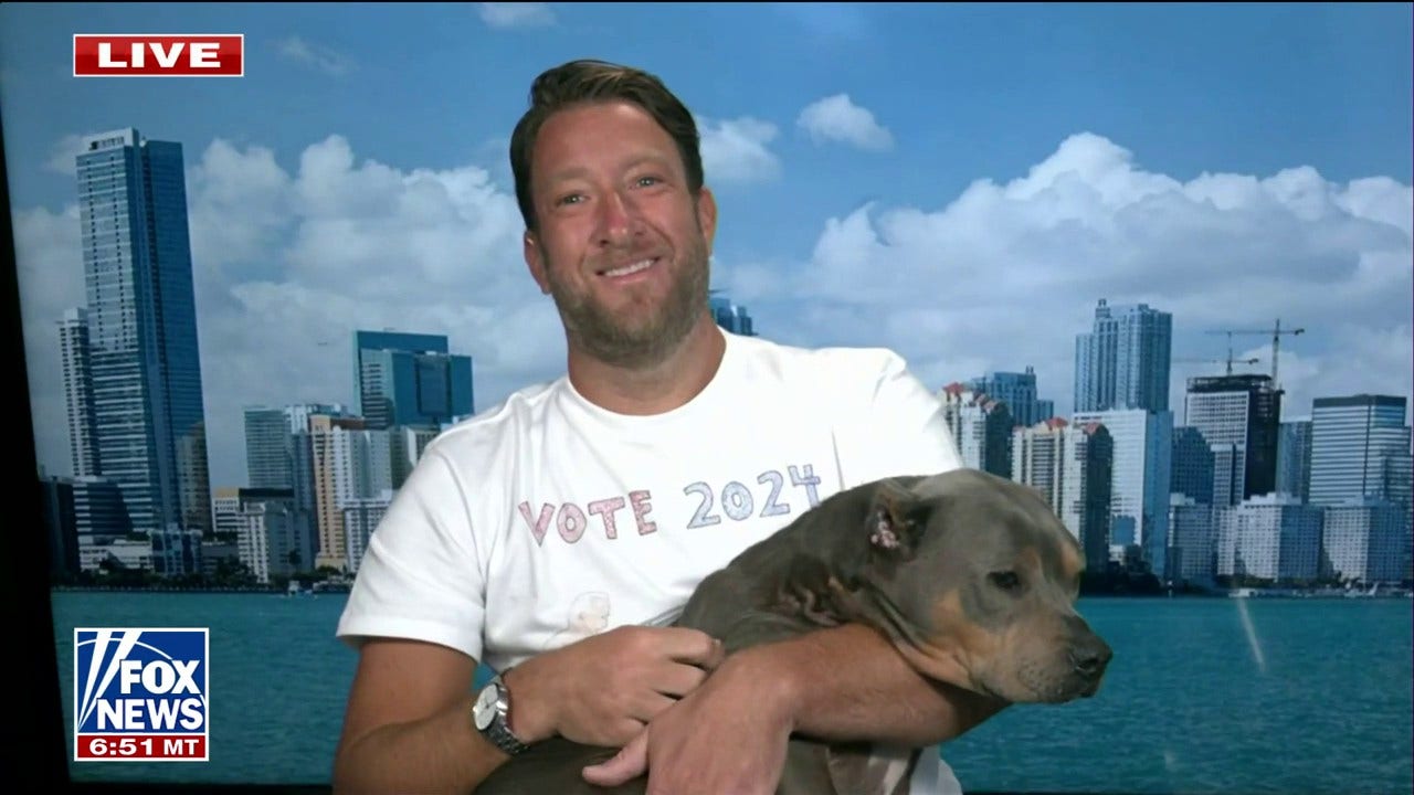 Dave Portnoy's Rescue Dog Miss Peaches Goes Viral: 'From Outhouse To ...