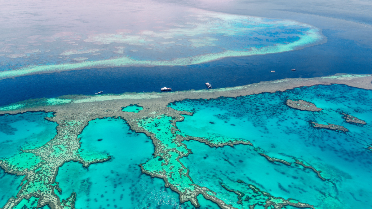 <p>You’ll have to go beneath the surface to experience this natural wonder, but you won’t regret it. One of the planet’s hotspots of biodiversity, this gigantic reef is visible from outer space and is home to countless species of marine life.</p>