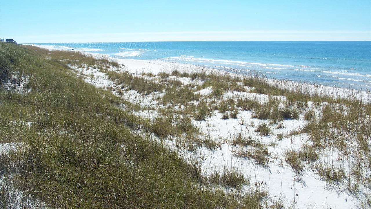 <p>Jetting 20 miles directly into the Gulf of Mexico, <a href="https://www.floridastateparks.org/parks-and-trails/th-stone-memorial-st-joseph-peninsula-state-park" rel="nofollow noopener">St. Joseph Peninsula</a> is a great destination to spot wildlife. The area provides vitally essential habitats for beach-nesting birds and turtles. Visitors enjoy overnight stays in the 46-site RV campground, eight cabins, and 14 primitive campsites in the Wilderness Preserve. It’s an excellent place for fishing, swimming, or watching the sunset. </p>
