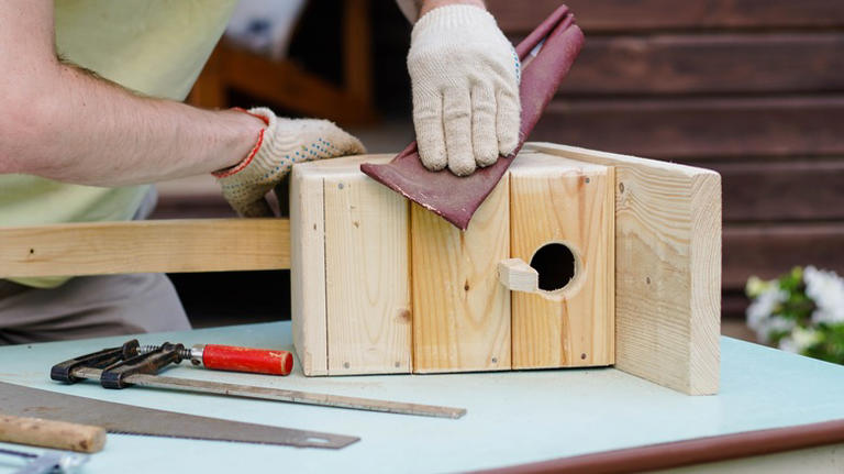 Using These Materials When Building A Birdhouse Is A Big Mistake