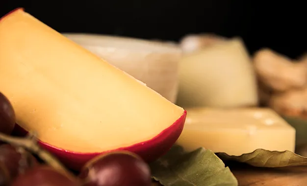 el queso sano con vitamina a y b12 que fortalece los huesos y ayuda a prevenir la osteoporosis