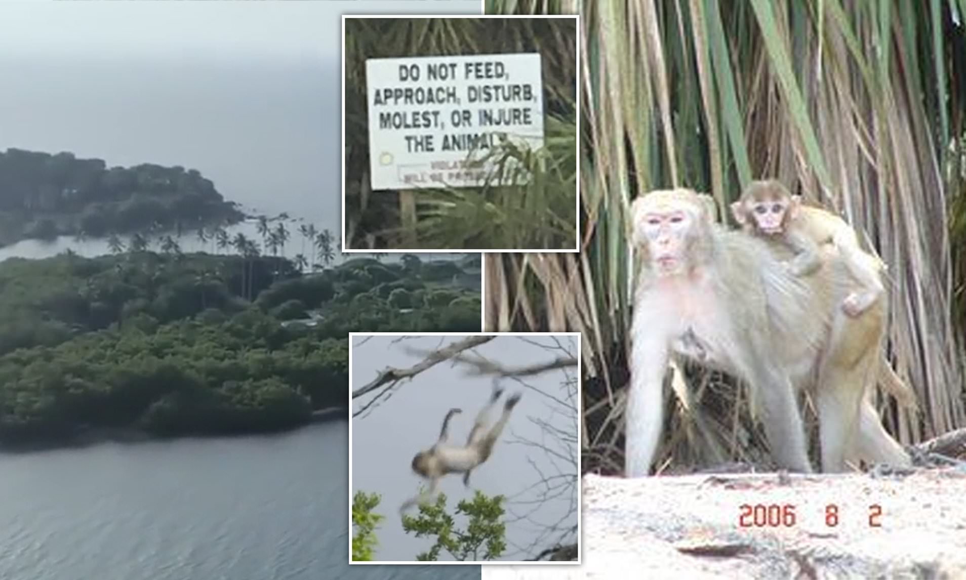 The Mysterious Island In South Carolina Which Is Off Limits To Visitors ...