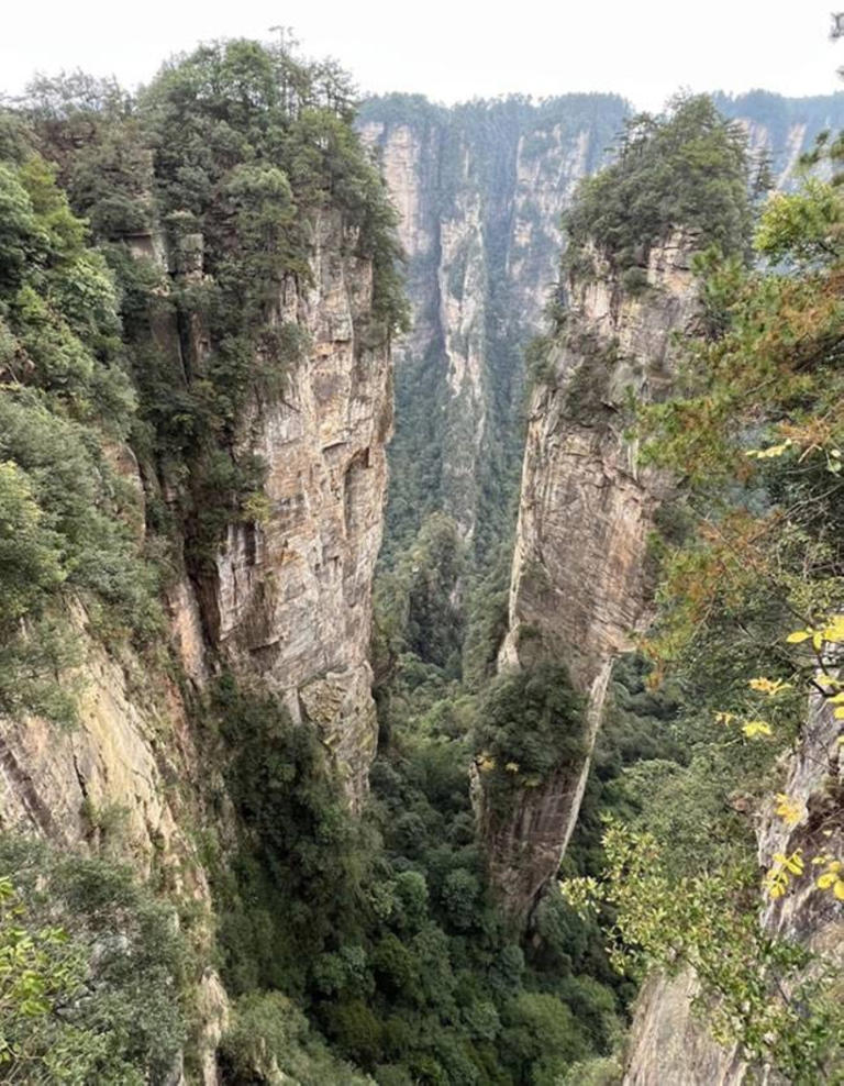 Visit 'Avatar' mountain, Heaven's Gate, in Zhangjiajie, China
