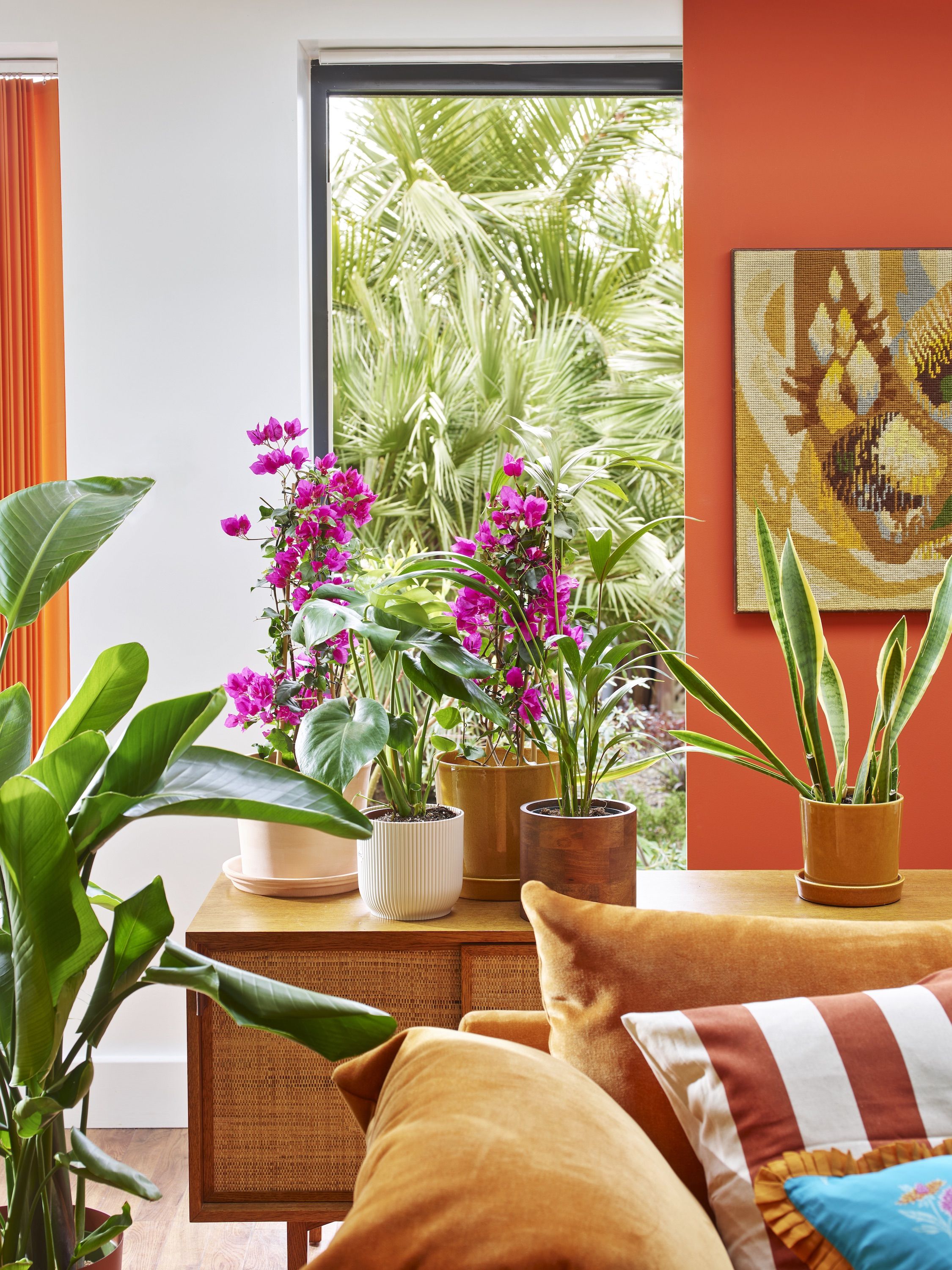 10-of-the-best-living-room-plants