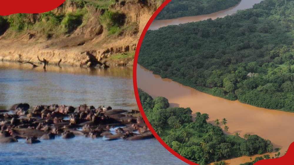 longest river in kenya: the top 5 list with photos and location
