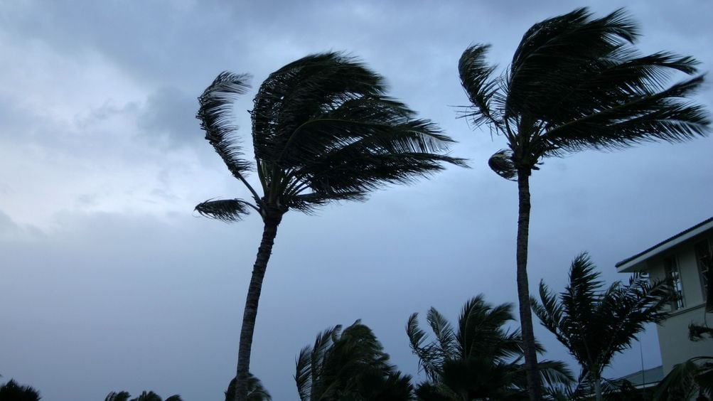 The 2024 Hurricane Season Is Less Than 100 Days Away, Here Are Ways To ...