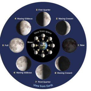 2024 Full Moon calendar Dates, times, types, and names