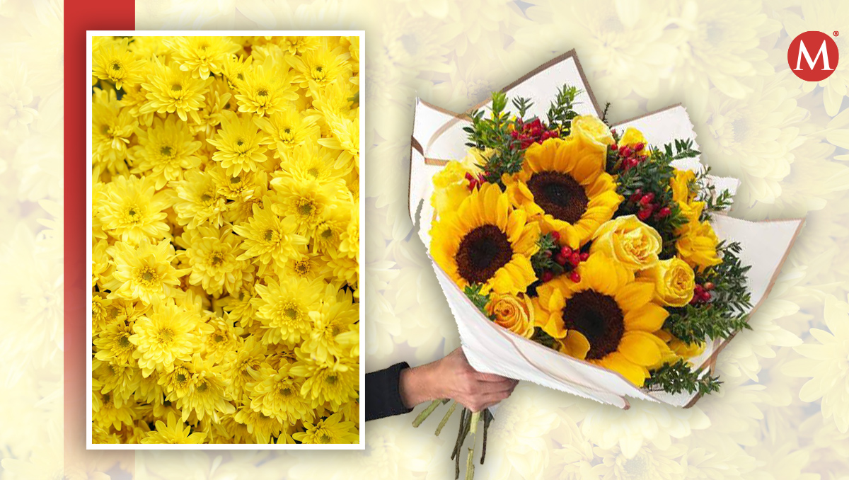 ¿Cuándo se regalan flores amarillas en 2024?