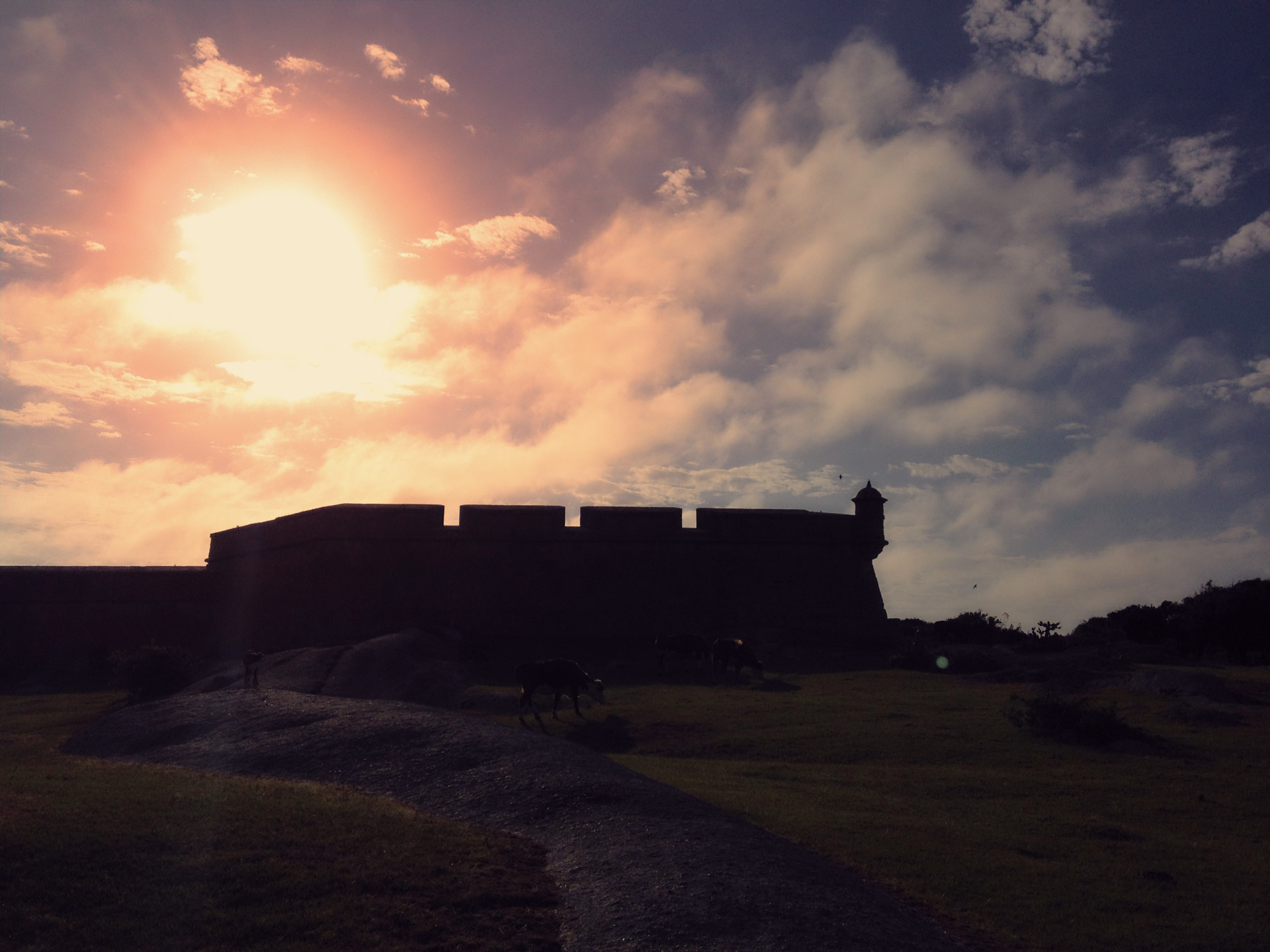 Mineral deficiency? Here's what to eat