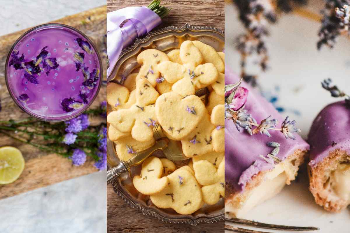 ¿Para Qué Sirve La Lavanda? Usos En La Cocina Y Beneficios